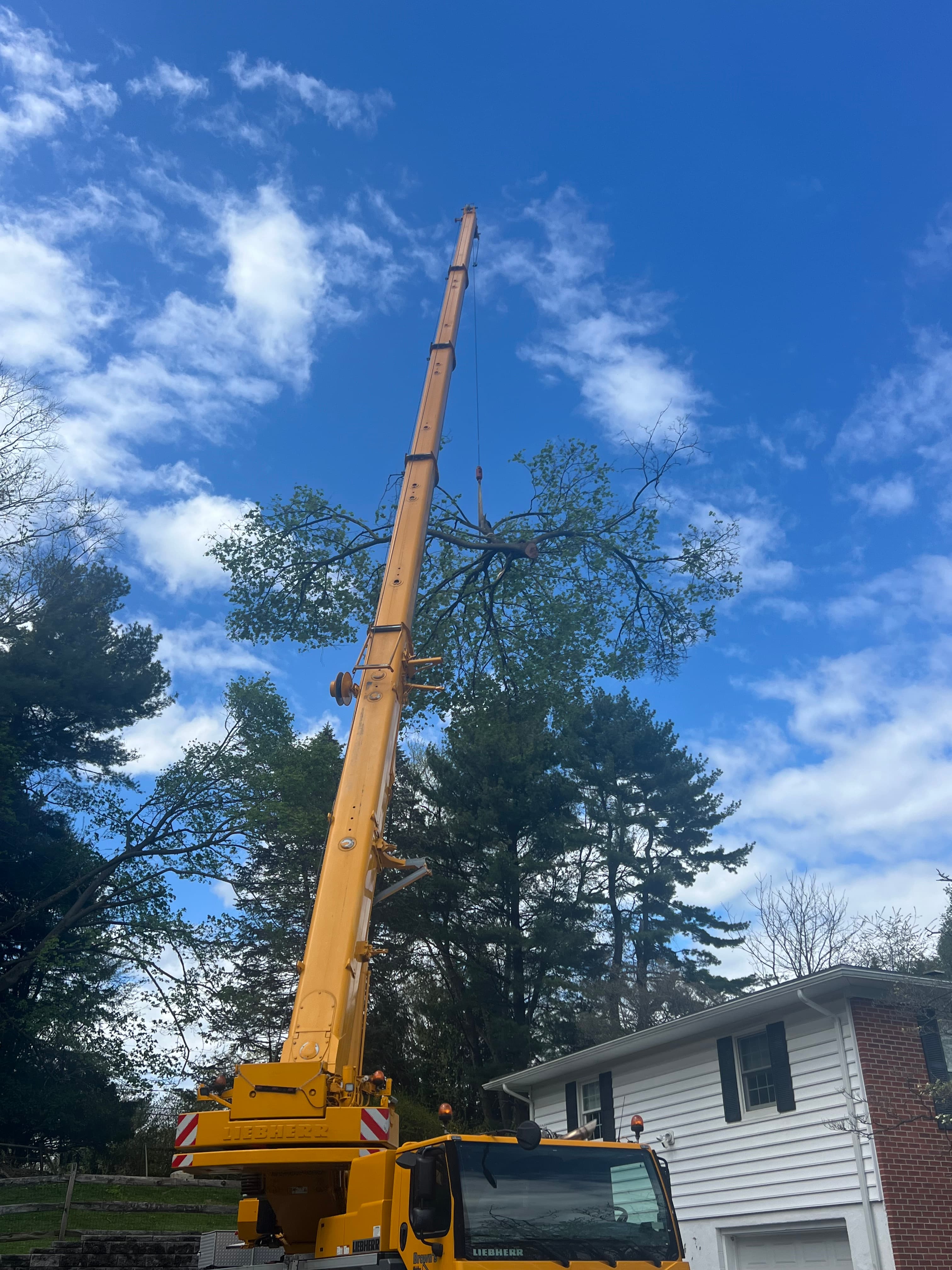 Crane & Rigging Services