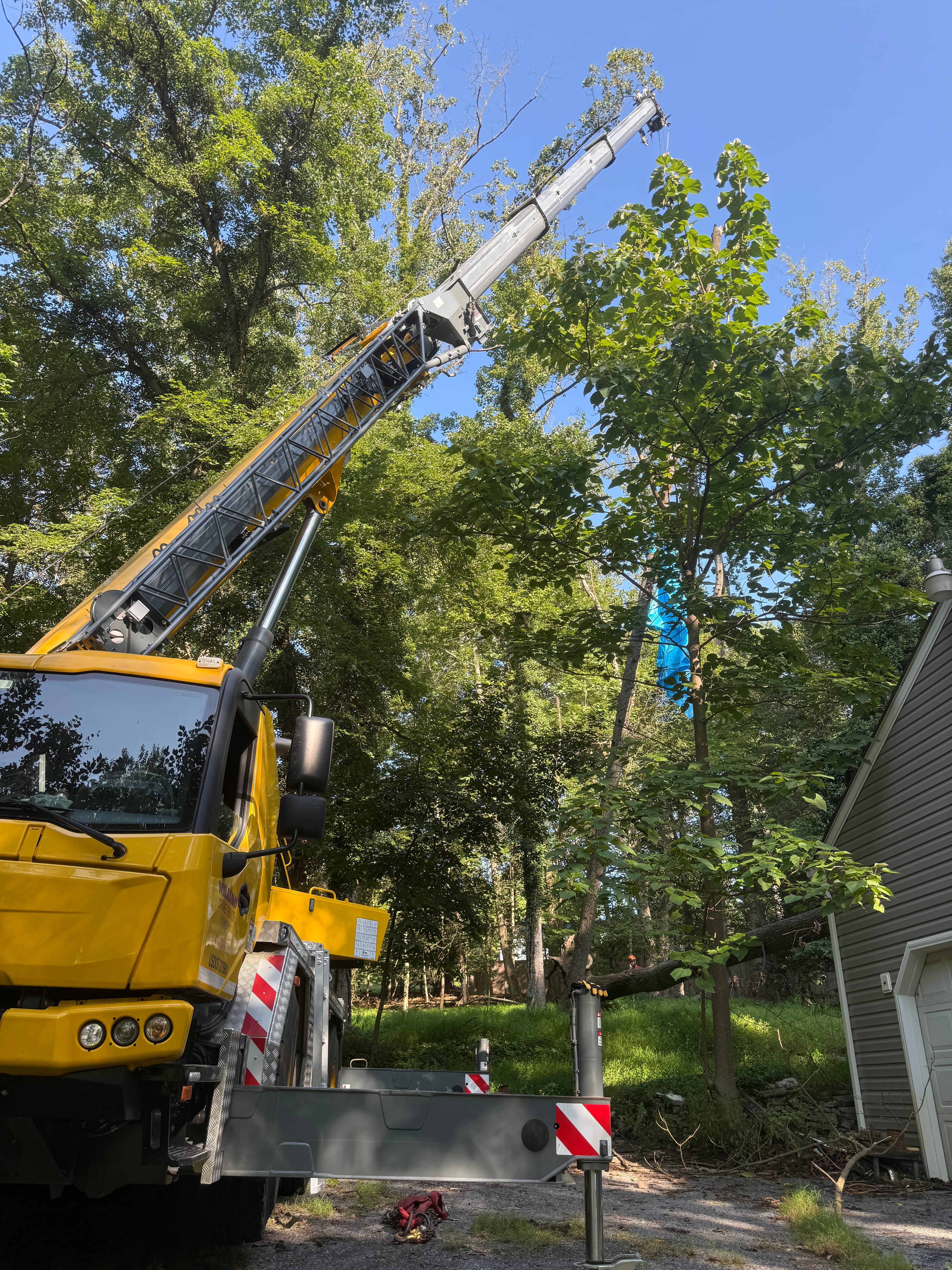 Emergency Crane Removal