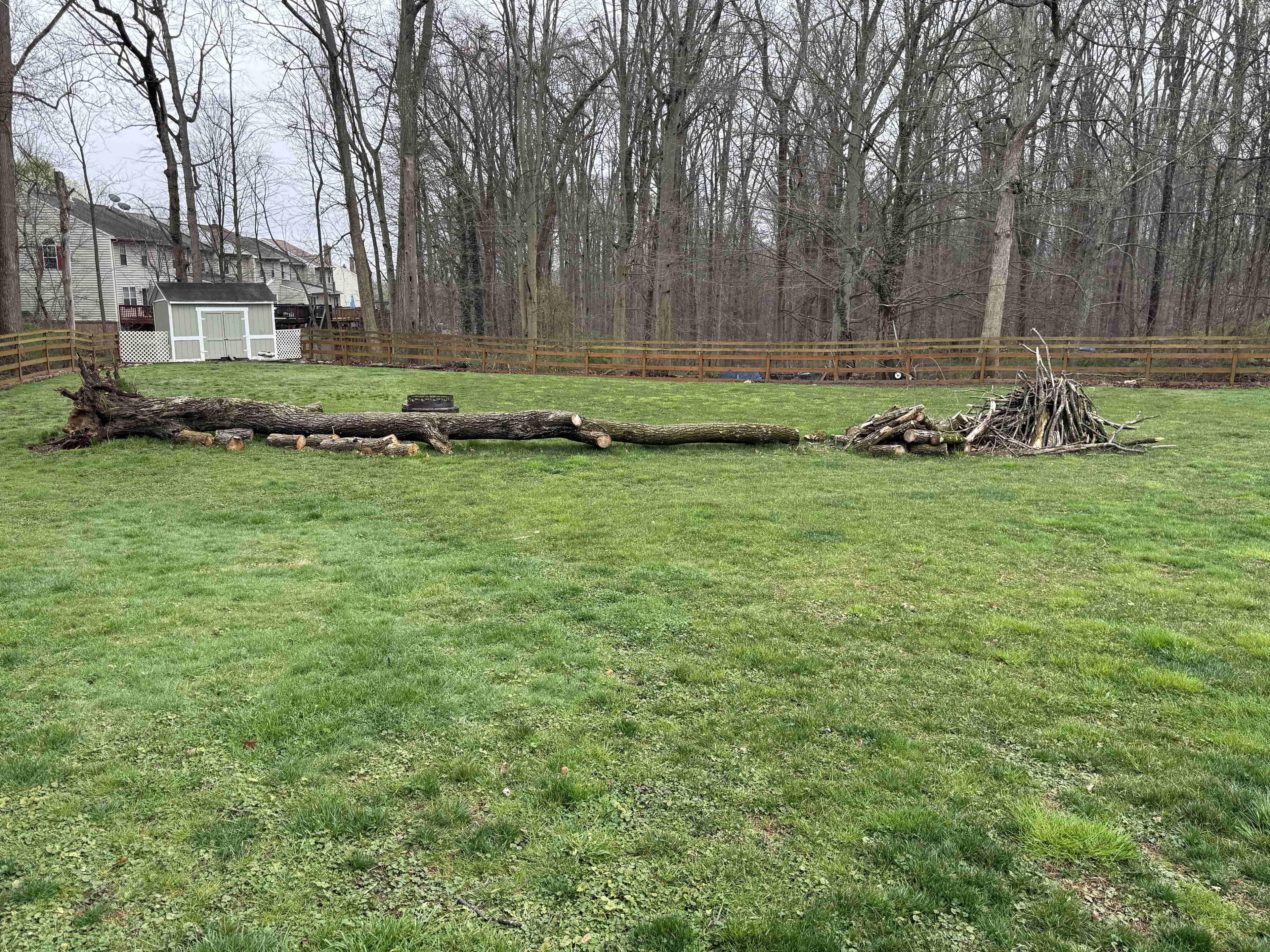 Before Storm Damage