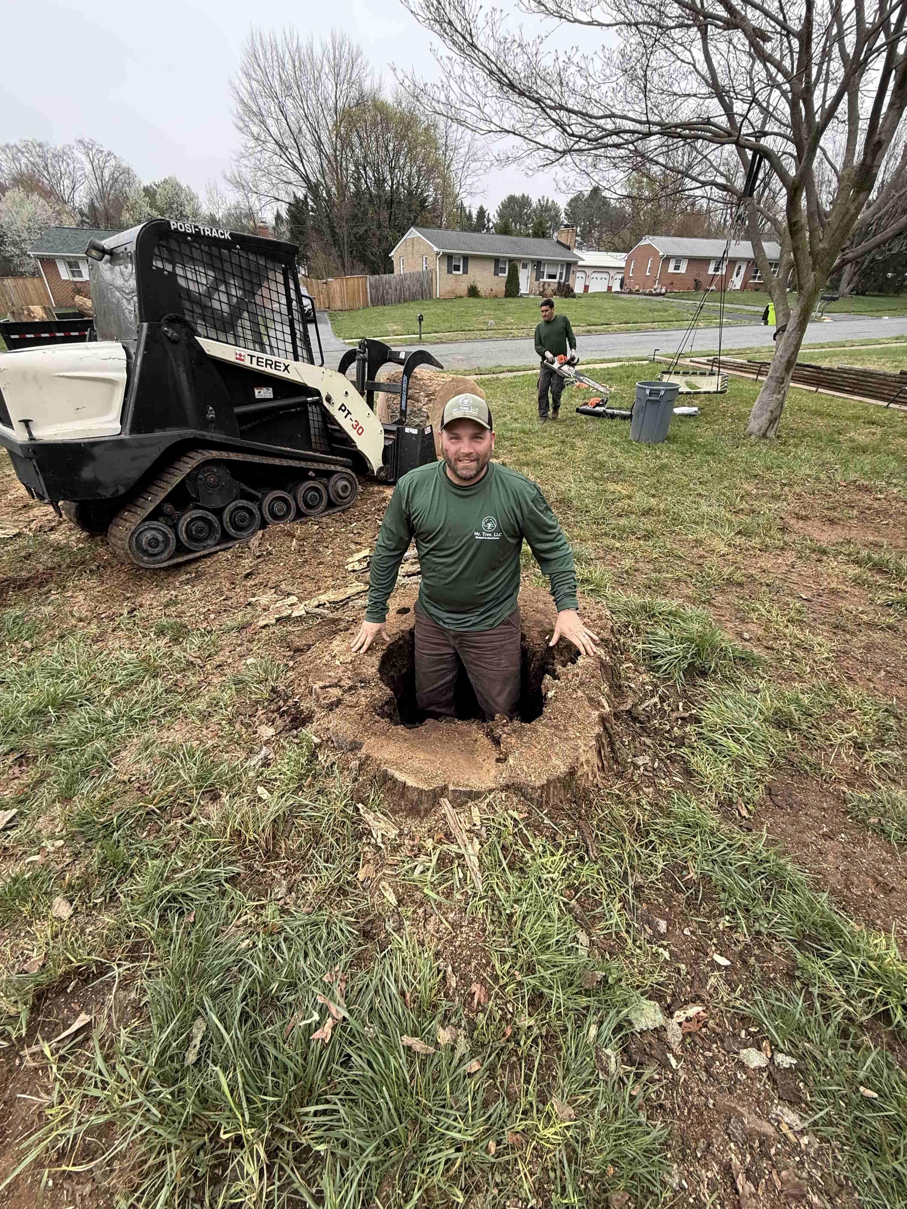 Stump Grinding