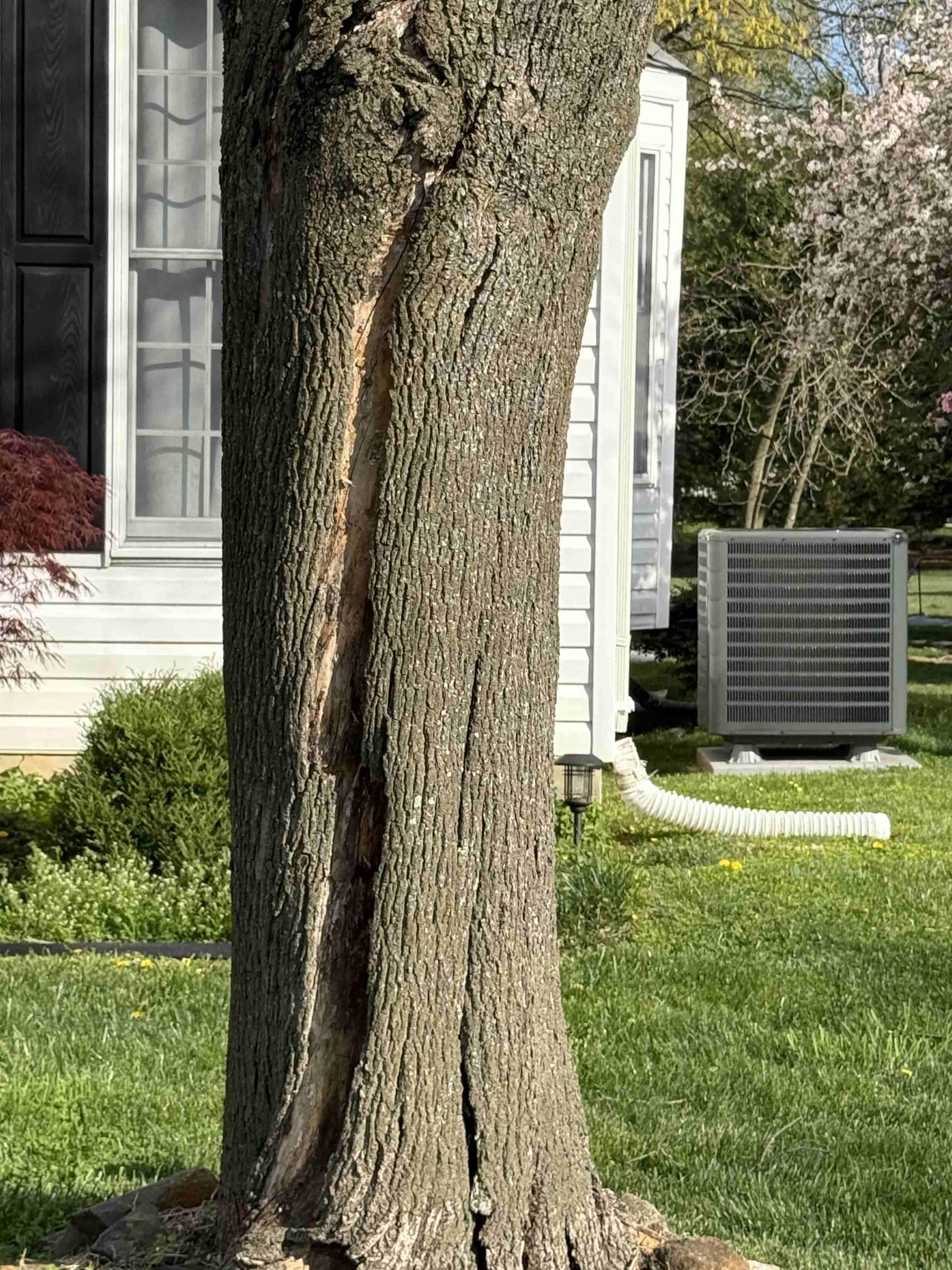 HOA Grounds Maintenance